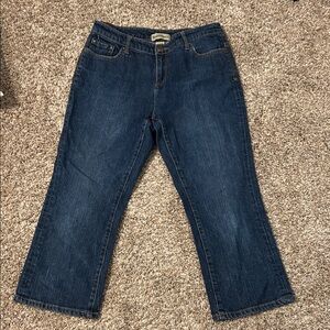 NWOT Classic Blue Denim Jean capri by Ruff Hewn size 6